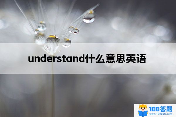 understand什么意思英语
