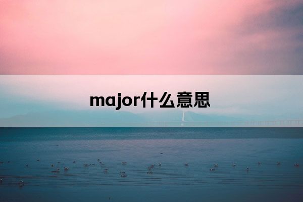 major什么意思