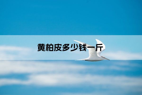 黄柏皮多少钱一斤