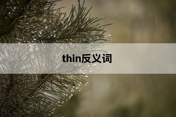 thin反義詞