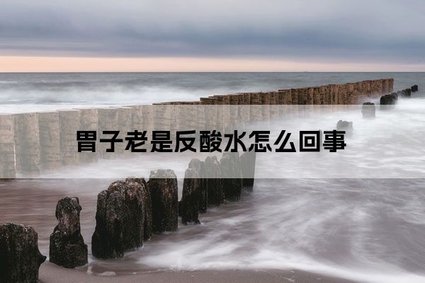 胃子老是反酸水怎么回事