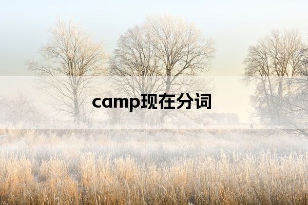 campingcamp的音标是:美/k03mp/英/k03mp/camp的意思是:n