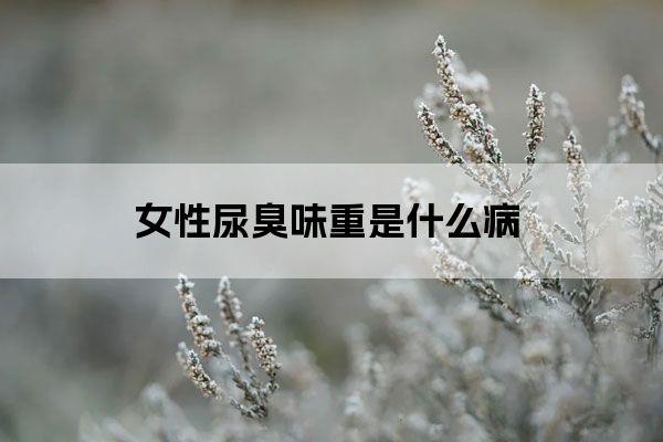 女性尿臭味重是什么病