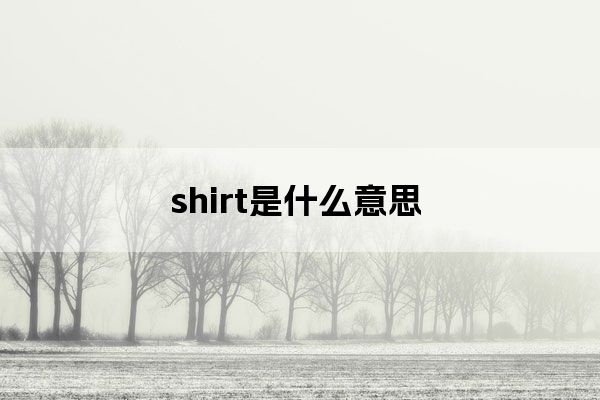 shirts是什么意思?