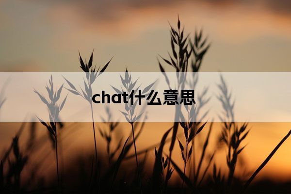 chat什么意思
