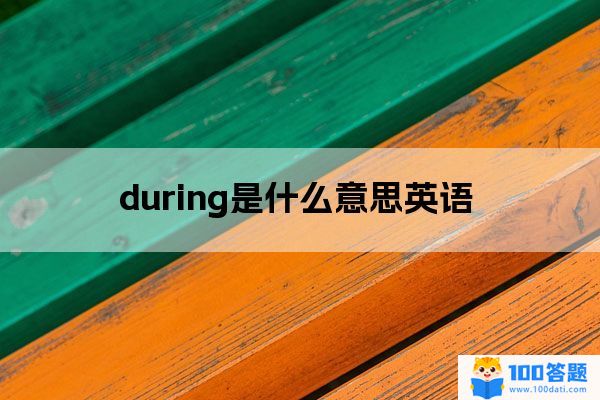 during是什么意思英语